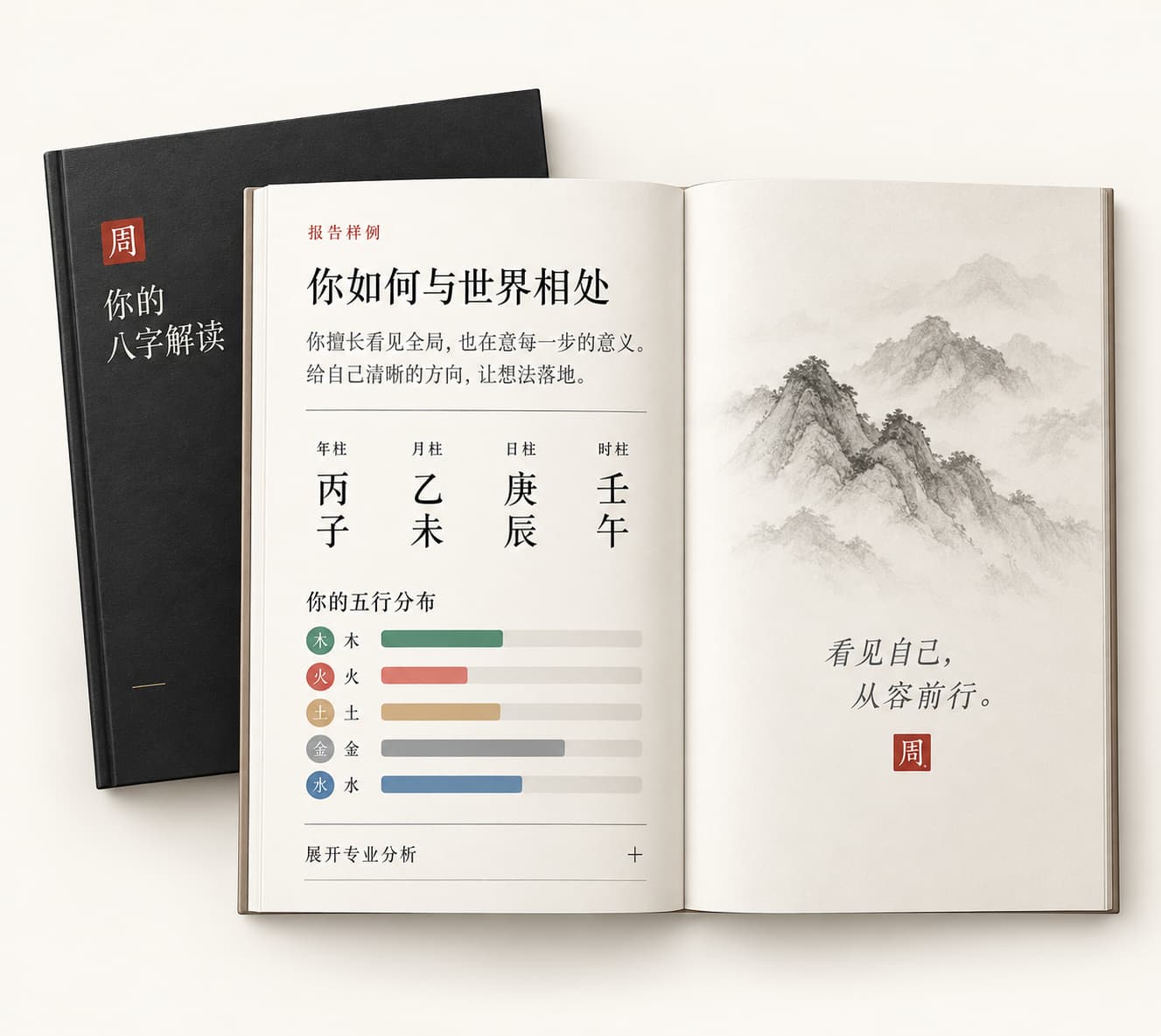 报告展示:展开的个人解读,包含四柱、五行与专业分析;电子 PDF 效果示意。